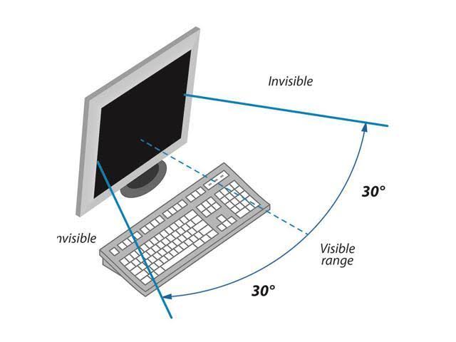 Black Widescreen Privacy Filter B682