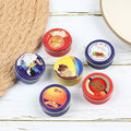 1/12 Scale Dollhouse Miniature Cookies Chocolate Snacks Pretend Play Food J846488