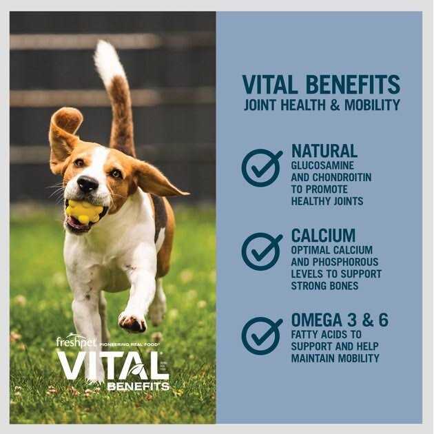 Fresh Dog Food G5383