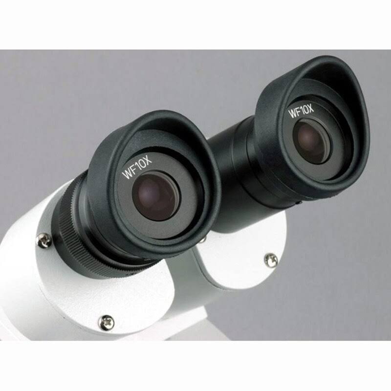 20X-80X Stereo Microscope R506792