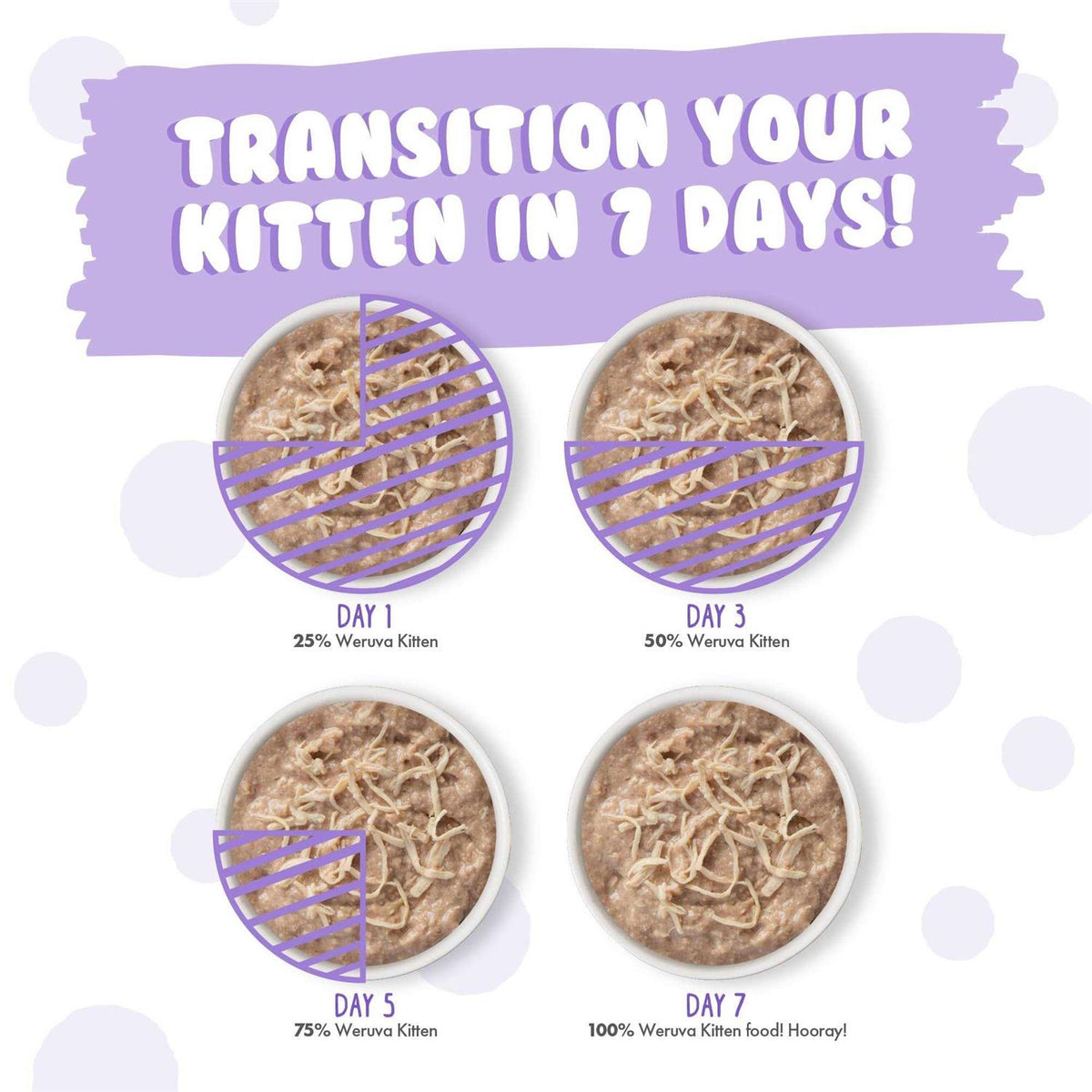 Wet Cat Food Variety Pack V517