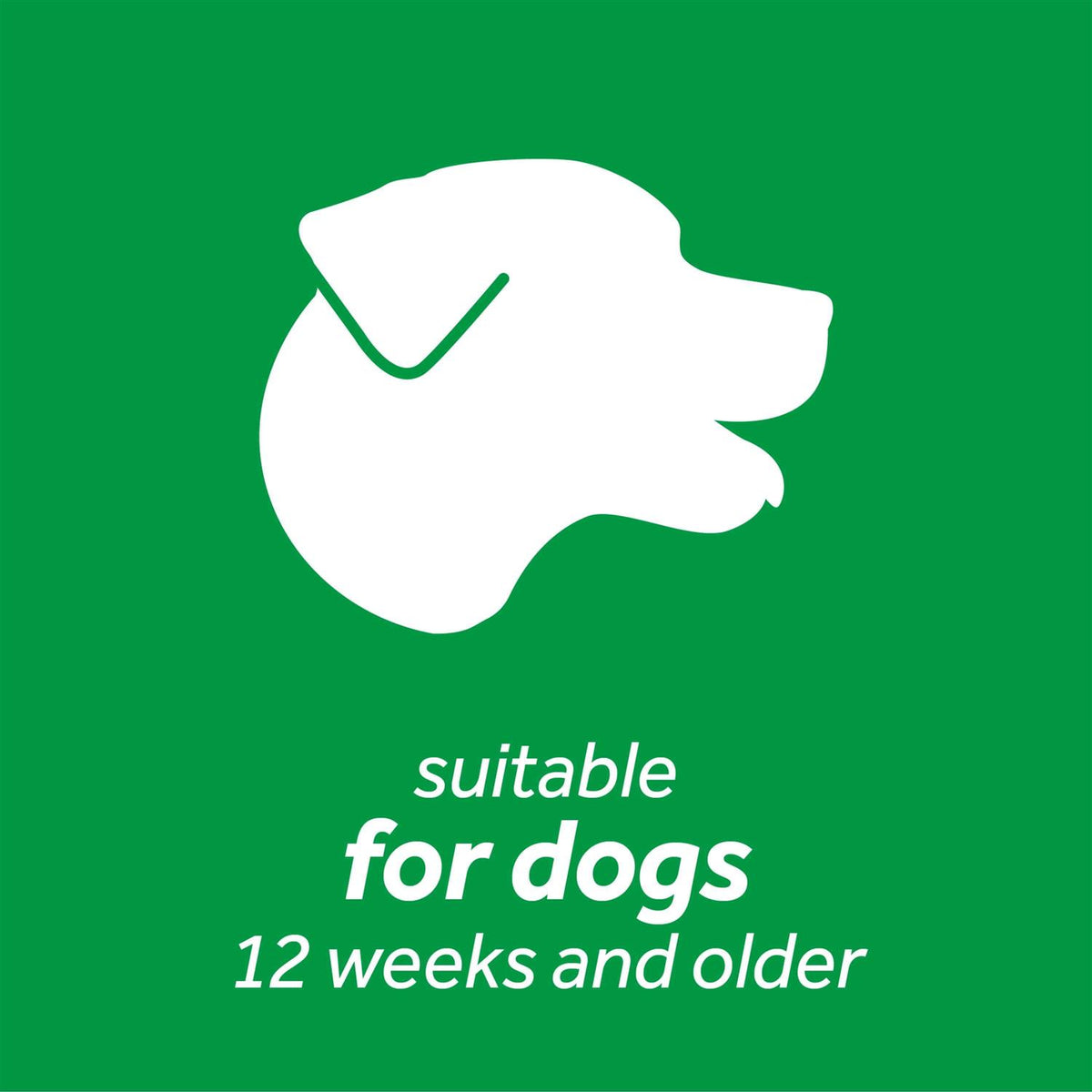 Fresh Breath Brushing Gel for Dogs D787728