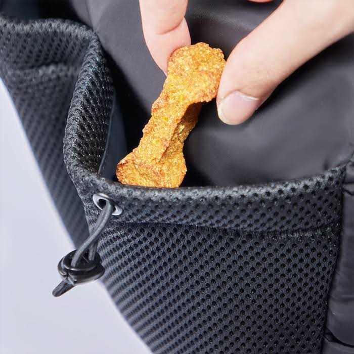 Dog Walking Bag N49284