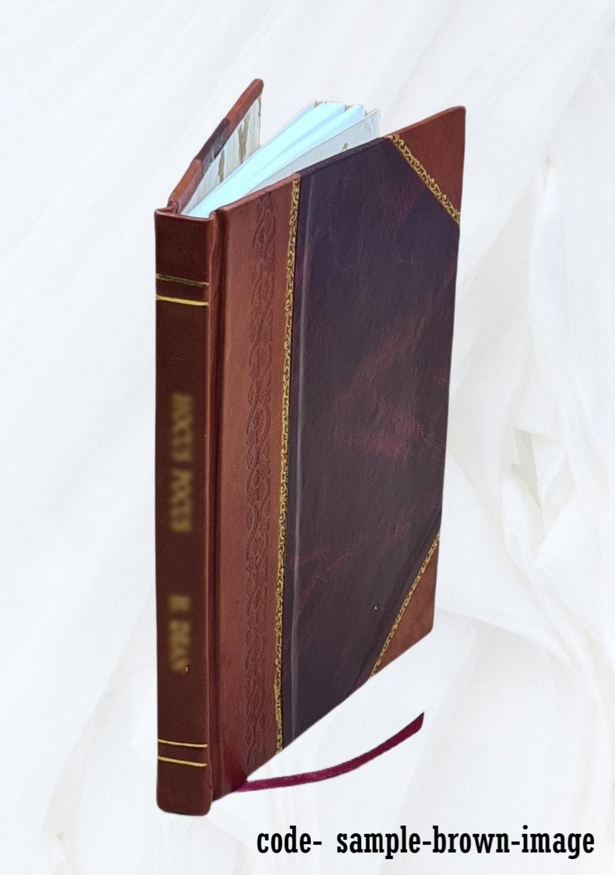 Sir Walter Scott and the border minstrelsy 1910 Leather Bound M279
