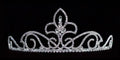 Small Tiara U362856