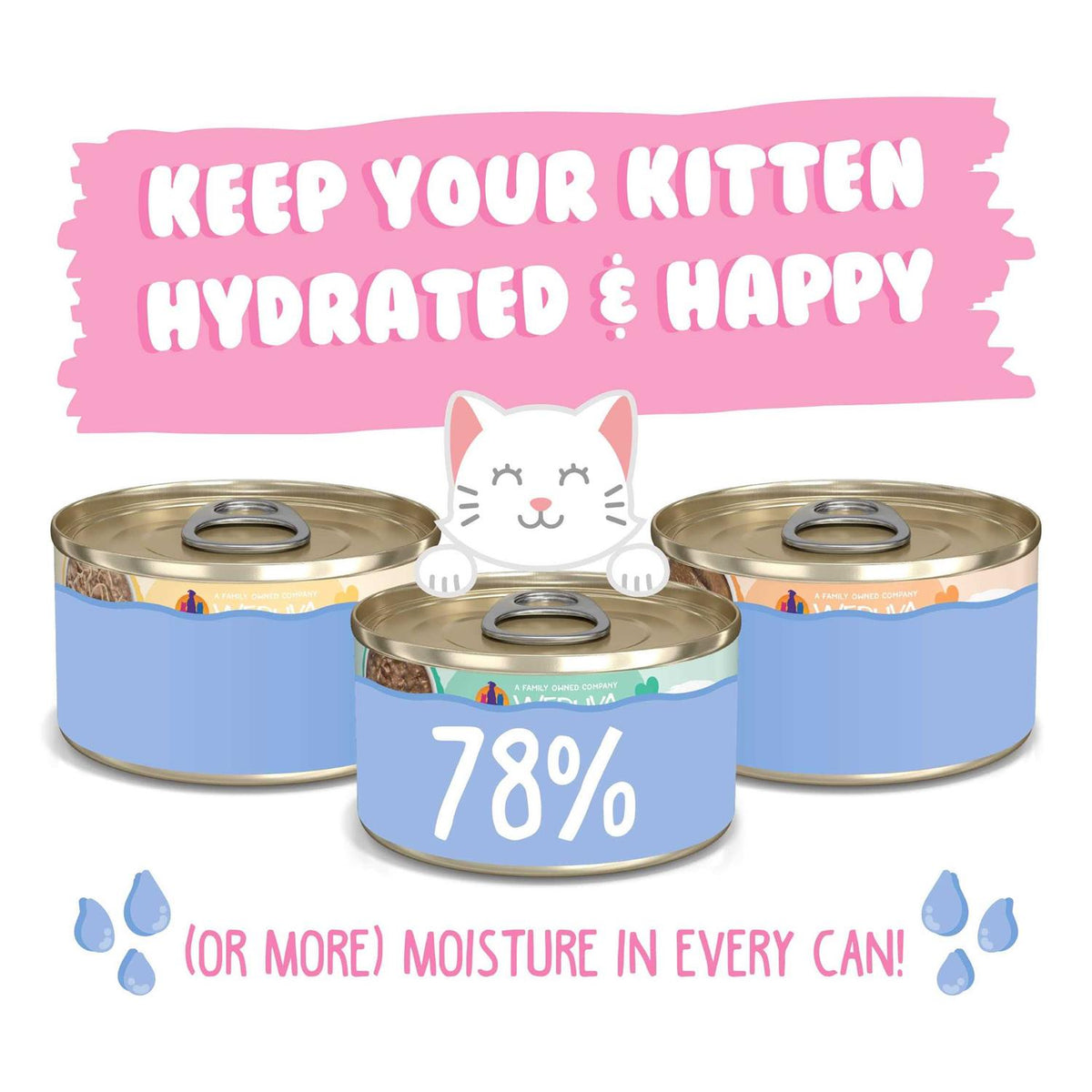 Wet Cat Food Variety Pack V517