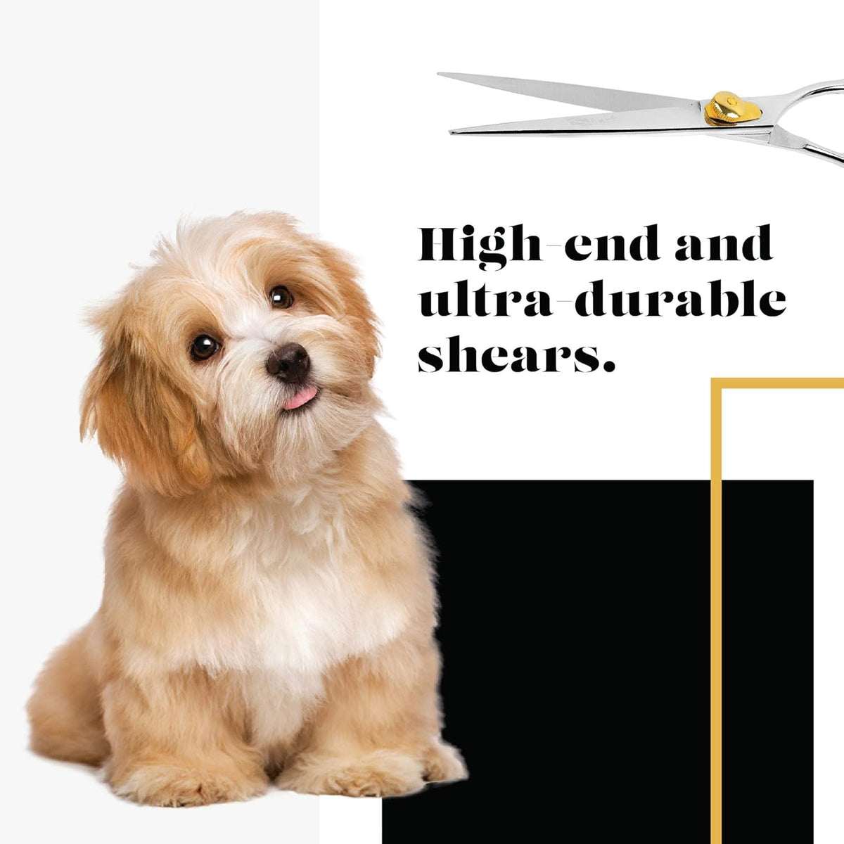 6.5 Inch 440c Japanese Stainless Steel Pet Grooming Scissors M238307