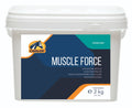 Muscle Force P413204
