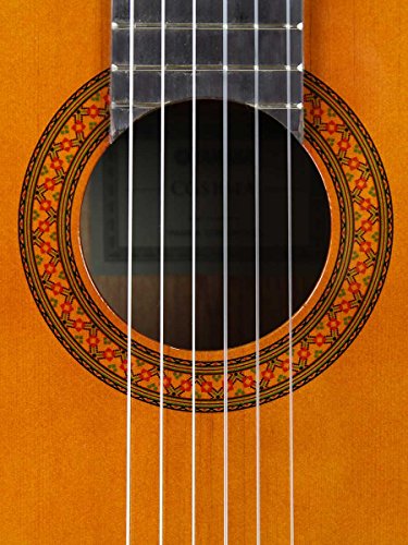 Classical Guitar A482994