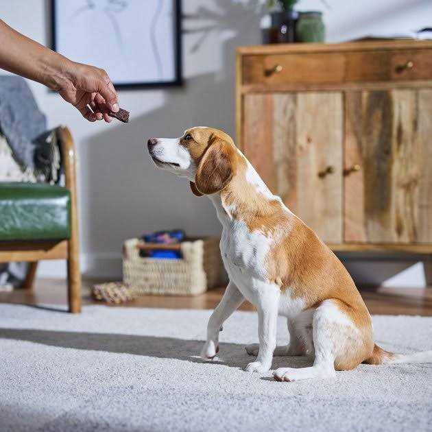Chicken Recipe Dog Treats V58549