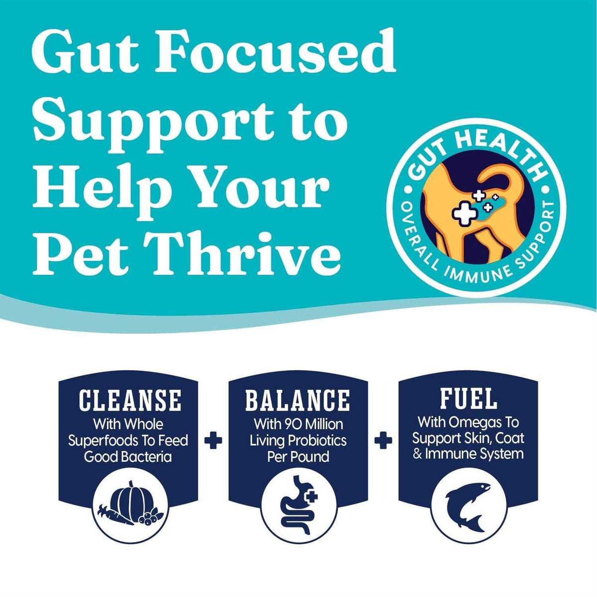 Solid Gold Grain-Free Dry Cat Food V107339