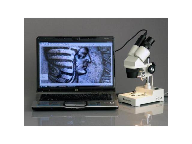 20X-80X Stereo Microscope R506792