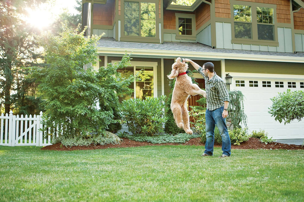 Wireless Pet Containment System S145111